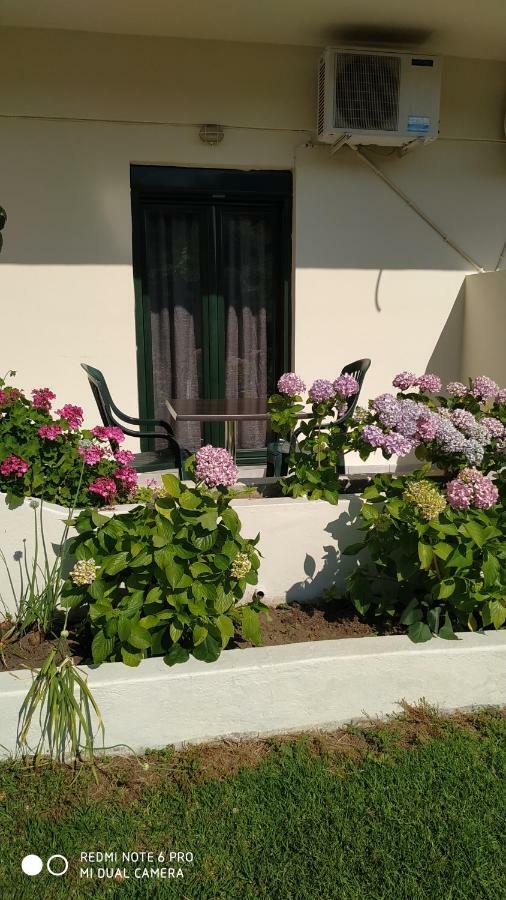 Dream House Apartment Agia Paraskevi  Exterior photo